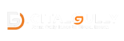 digital gully