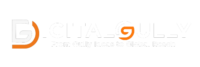 digital gully